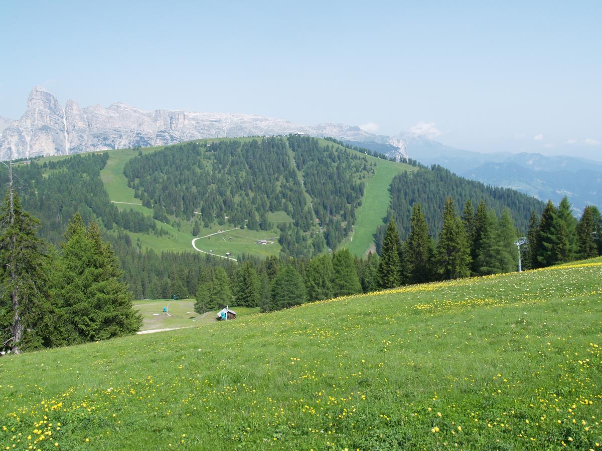 Residence Vajolet San Cassiano San Cassiano  Eksteriør billede