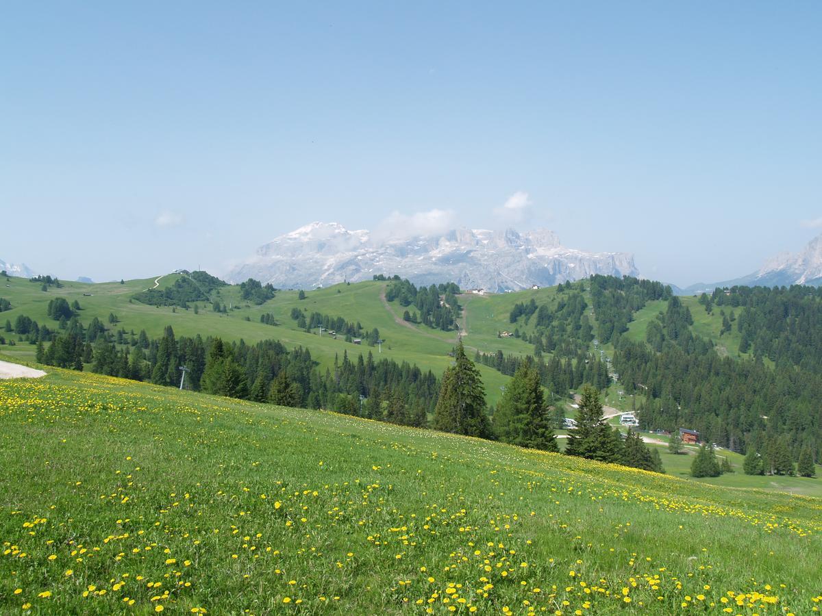 Residence Vajolet San Cassiano San Cassiano  Eksteriør billede